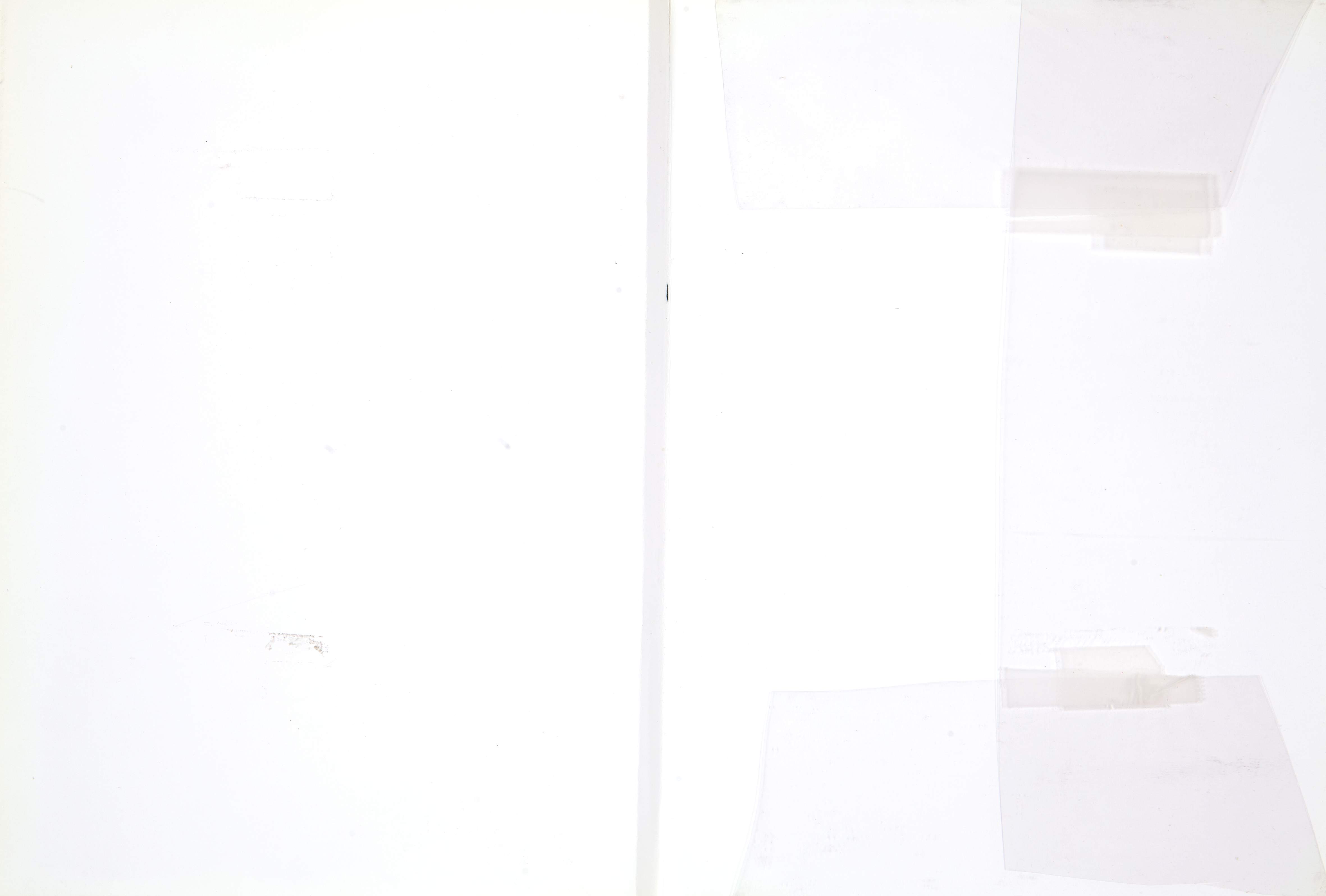 piatto_posteriore